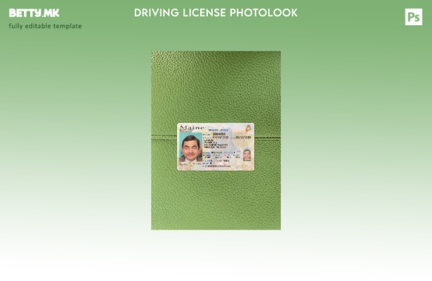 Возачка дозвола во модерен стил на САД Мејн го претставува предниот шаблон со ph